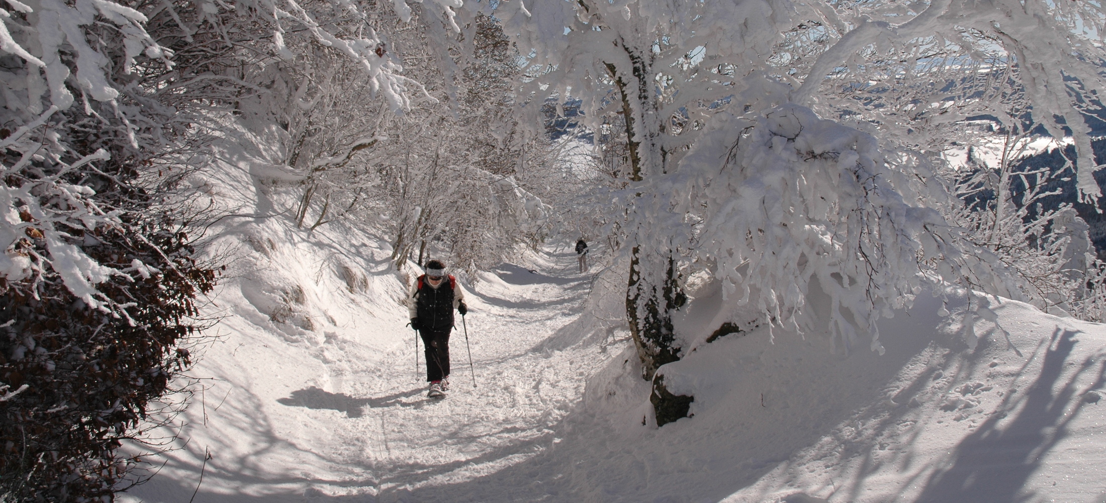 RAQUETTES_2200x1000_AdobeStock